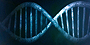 Calvert DNA Calvert DNA