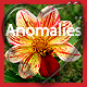 SappAnomaliesDirect.jpg SappAnomaliesDirect.jpg